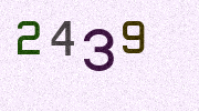 Visual Confirmation Security Code
