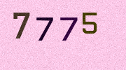 Visual Confirmation Security Code