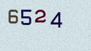 Visual Confirmation Security Code
