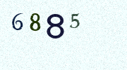 Visual Confirmation Security Code