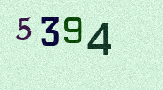 Visual Confirmation Security Code