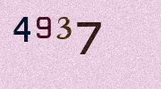 Visual Confirmation Security Code
