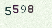 Visual Confirmation Security Code