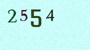 Visual Confirmation Security Code