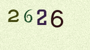 Visual Confirmation Security Code