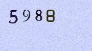 Visual Confirmation Security Code