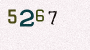 Visual Confirmation Security Code