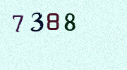 Visual Confirmation Security Code
