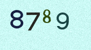 Visual Confirmation Security Code