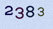 Visual Confirmation Security Code