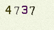 Visual Confirmation Security Code