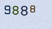 Visual Confirmation Security Code