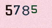 Visual Confirmation Security Code