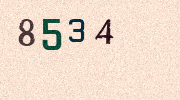 Visual Confirmation Security Code