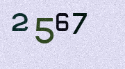 Visual Confirmation Security Code