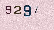 Visual Confirmation Security Code