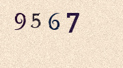 Visual Confirmation Security Code