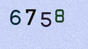 Visual Confirmation Security Code