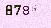 Visual Confirmation Security Code