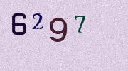 Visual Confirmation Security Code