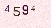 Visual Confirmation Security Code