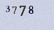 Visual Confirmation Security Code