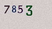 Visual Confirmation Security Code