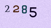 Visual Confirmation Security Code