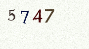 Visual Confirmation Security Code