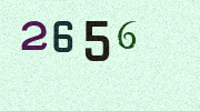 Visual Confirmation Security Code