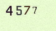 Visual Confirmation Security Code