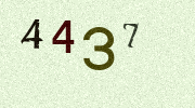 Visual Confirmation Security Code