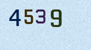 Visual Confirmation Security Code