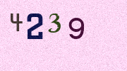 Visual Confirmation Security Code