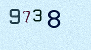 Visual Confirmation Security Code