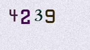 Visual Confirmation Security Code