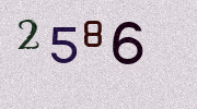 Visual Confirmation Security Code