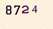Visual Confirmation Security Code