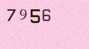 Visual Confirmation Security Code
