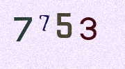Visual Confirmation Security Code