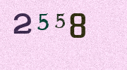 Visual Confirmation Security Code