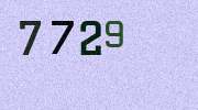 Visual Confirmation Security Code