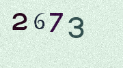 Visual Confirmation Security Code