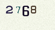Visual Confirmation Security Code