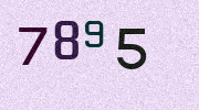 Visual Confirmation Security Code