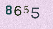 Visual Confirmation Security Code