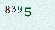 Visual Confirmation Security Code