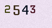 Visual Confirmation Security Code