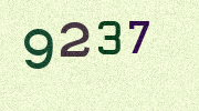 Visual Confirmation Security Code
