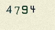 Visual Confirmation Security Code